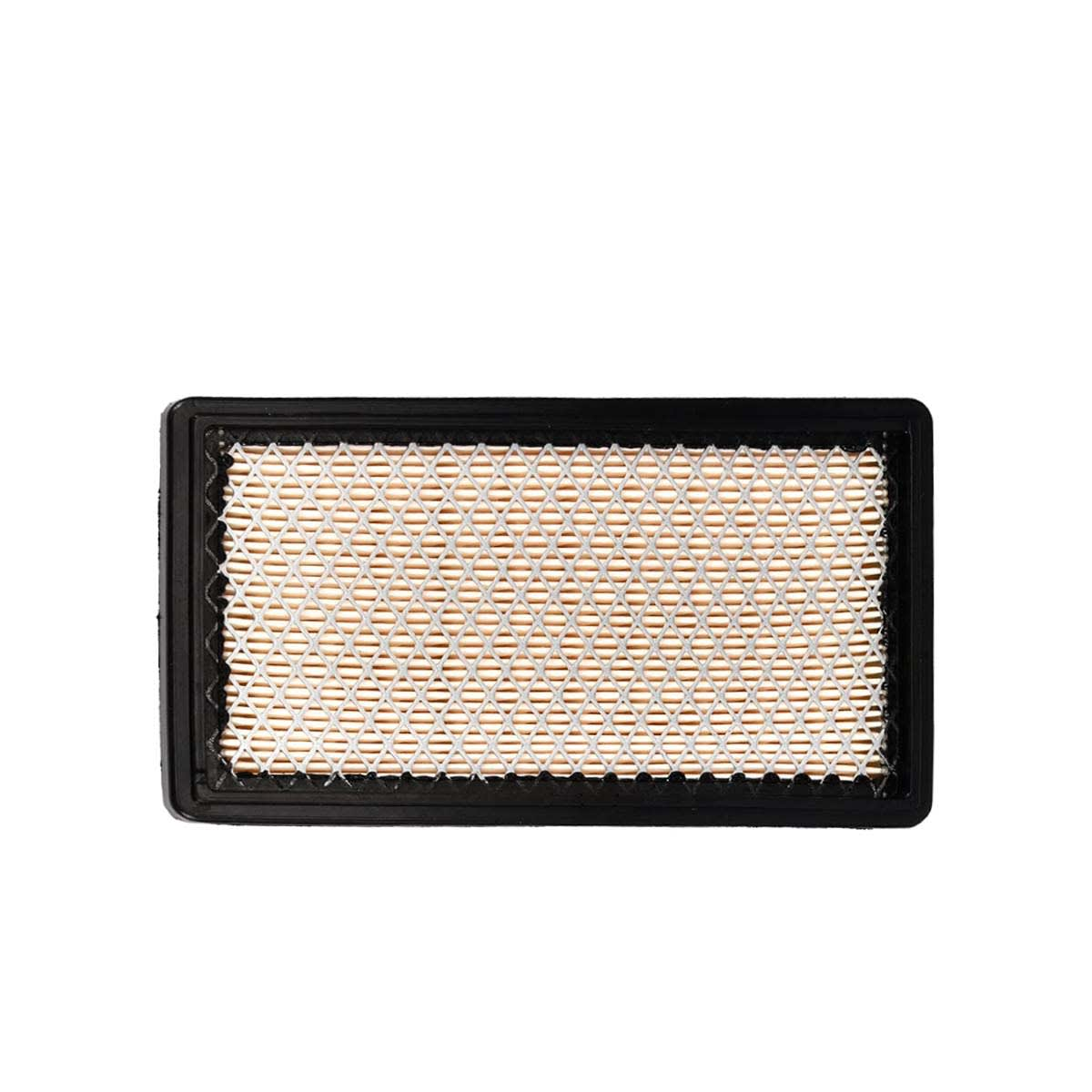 FILTRO DE AIRE PARA MOTOR EX40