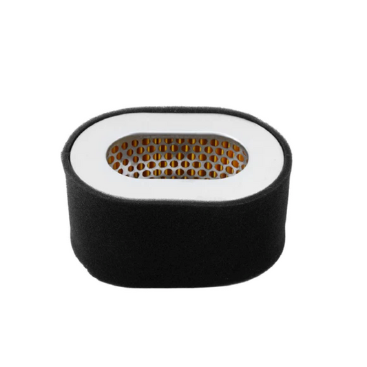 FILTRO DE AIRE PARA MOTOR 186F